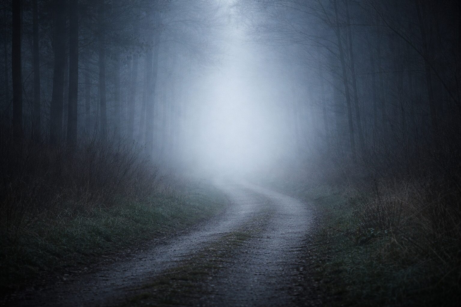 霧の中の静かな森道