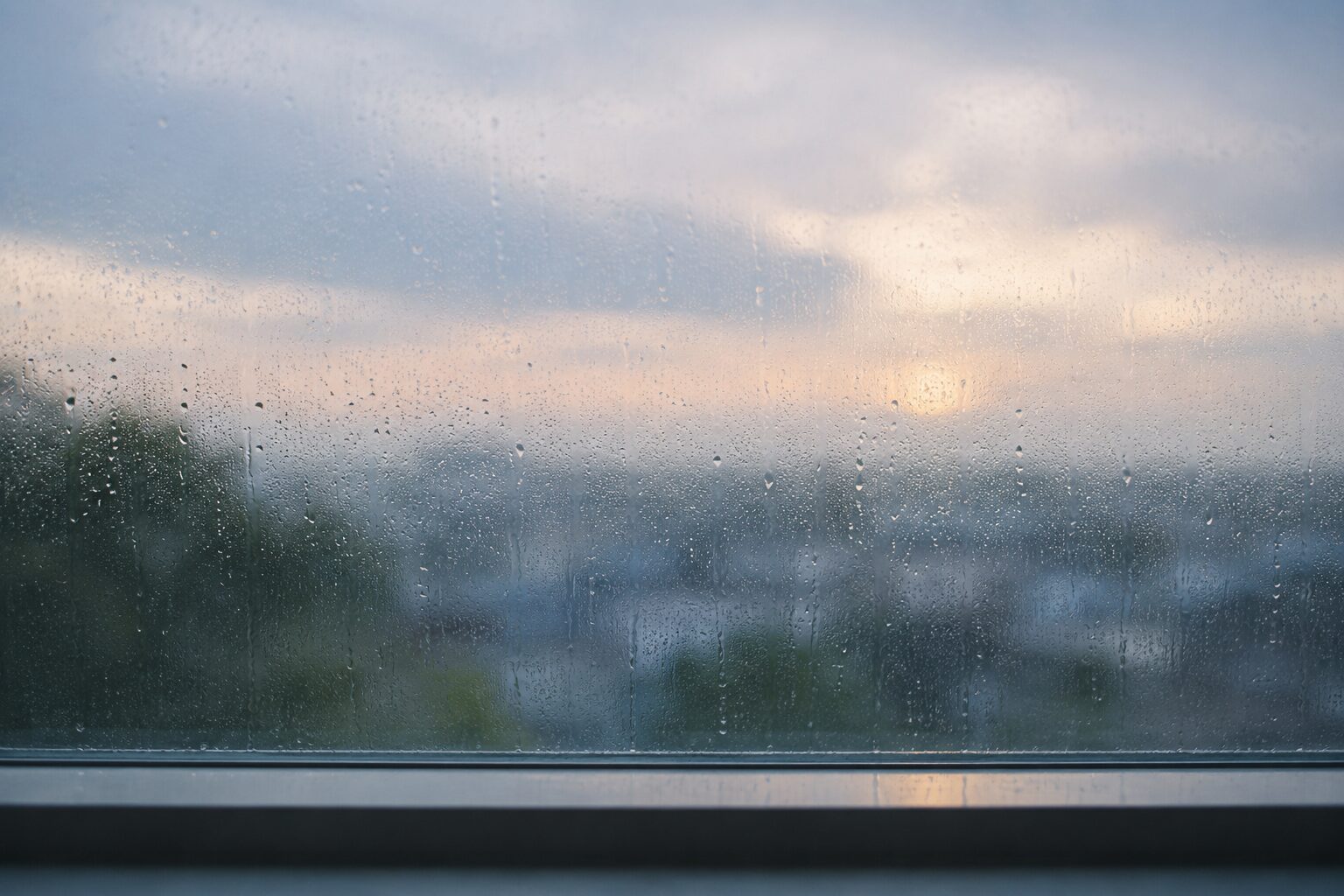 雨の窓越しの風景